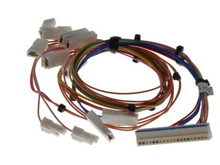 WORCESTER 87161209810 HARNESS MAIN