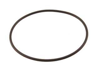 FOCAL POINT FIRES F760223 O RING 100MM X 3MM CS