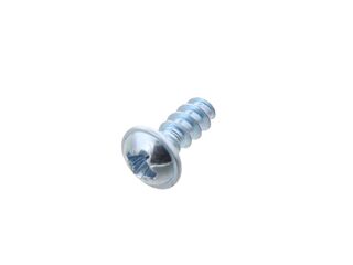 WORCESTER 29142113020 SCREW OVAL-HEAD B4X10-ST-H