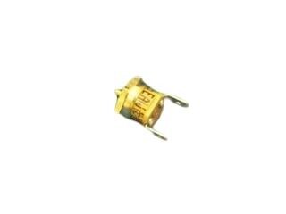 VAILLANT 101462 TEMPERATURE REGULATOR